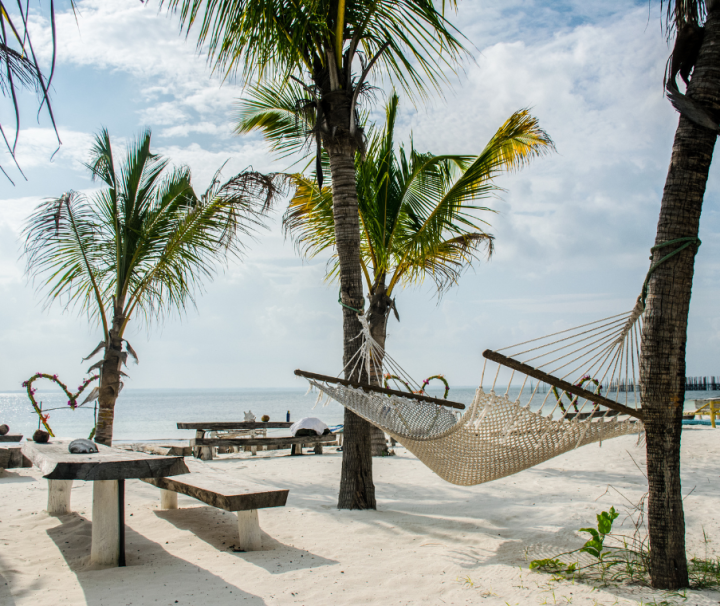 Christmas in Zanzibar
