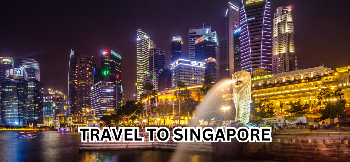 A Practical Step-by-Step Travel Guide Traveling from Nigeria to Singapore